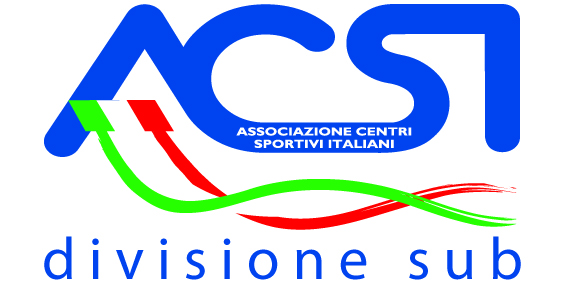 logo ACSI Sub